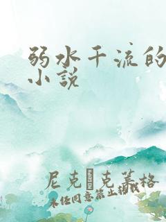 弱水千流的全部小说