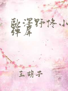 欧泽野佟小曼无弹屏