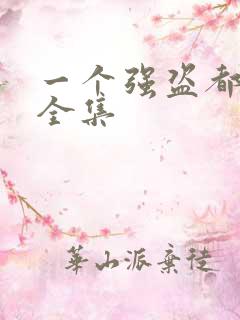 一个强盗都不留全集