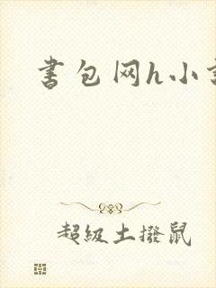 书包网h小说