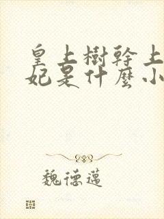 皇上树干上太子妃是什么小说