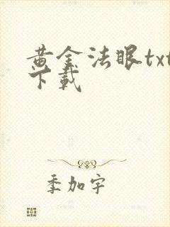 黄金法眼txt下载