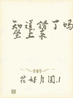 知道错了吗自己坐上来