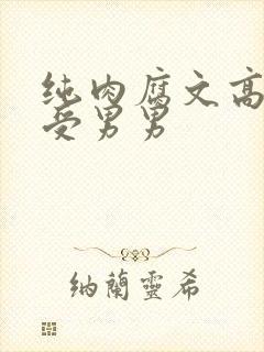 纯肉腐文高H总受男男