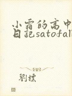 小霜的高中成长日记satofall