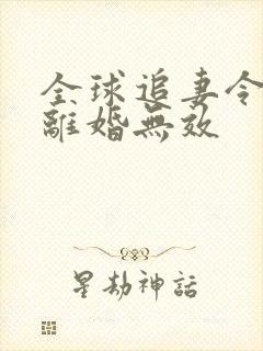 全球追妻令老婆离婚无效