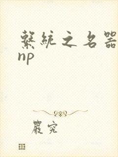 系统之名器攻略np