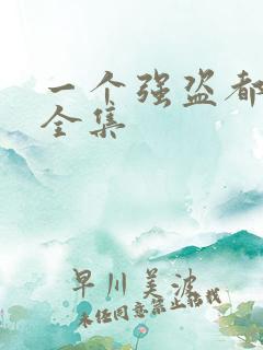 一个强盗都不留全集