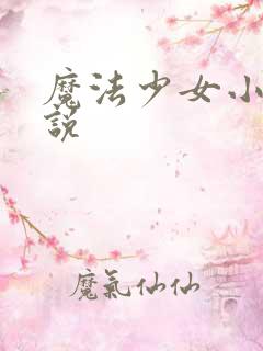 魔法少女小圆小说