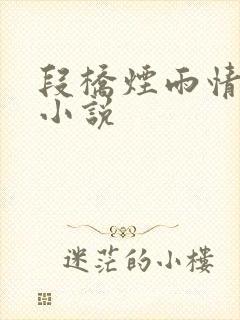 段桥烟雨情难离小说