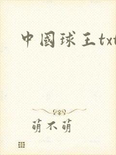 中国球王txt