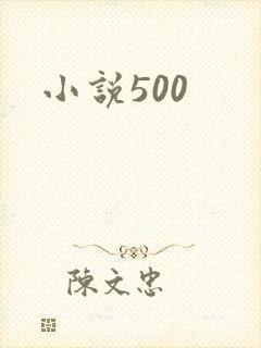 小说500