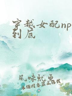 穿越女配np湿到底