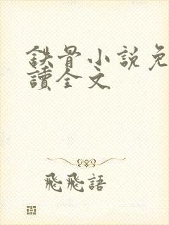 铁骨小说免费阅读全文