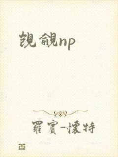 觊觎np