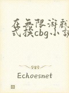 在无限游戏里花式挨cbg小说