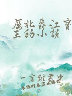 厉北爵江宝宝男主的小说