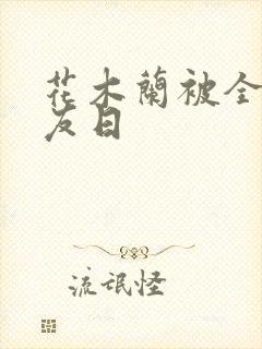 花木兰被全队队友日