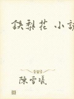 铁梨花 小说