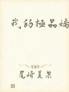 我的极品娇妻