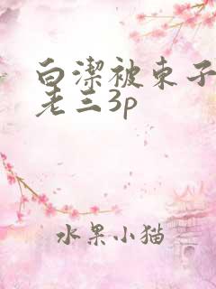 白洁被东子老二老三3p