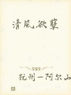 清风欲孽