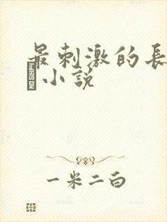 最刺激的长篇乱惀小说