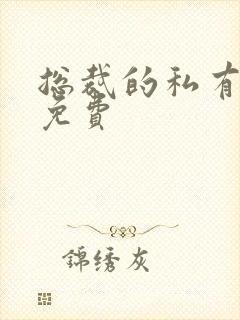 总裁的私有宝贝免费