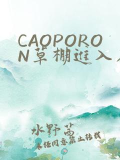 CAOPORON草棚进入在线观看