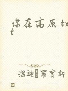 你在高原 txt