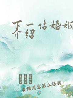 下一站婚姻剧情介绍