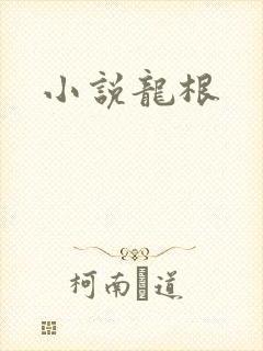 小说龙根