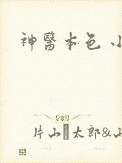 神医本色 小说