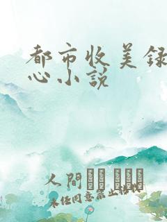都市收美录宁素心小说