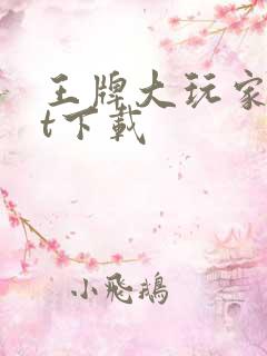 王牌大玩家txt下载