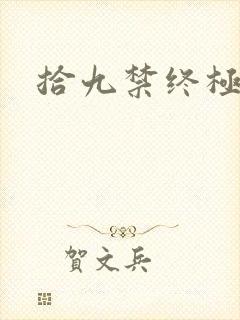 拾九禁终极直播