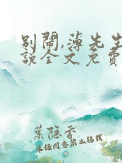 别闹,薄先生小说全文免费阅读