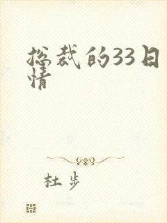 总裁的33日索情