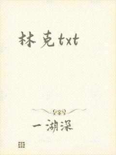 林克txt