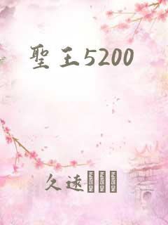 圣王5200