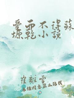 爱而不得苏路顾塬乾小说