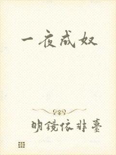 一夜成奴