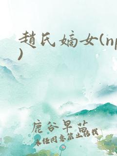 赵氏嫡女(np)