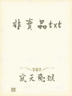 非卖品txt
