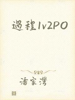 过程1v2PO
