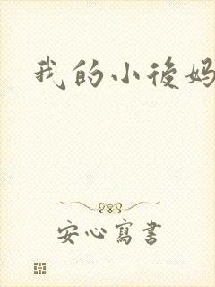 我的小后妈小说
