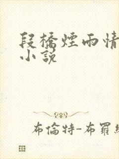 段桥烟雨情难离小说