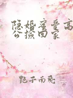 隐婚蜜爱高冷老公捡回家