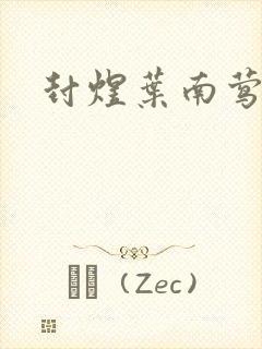 封煜叶南莺小说