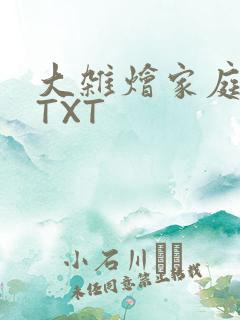 大杂烩家庭小说TXT